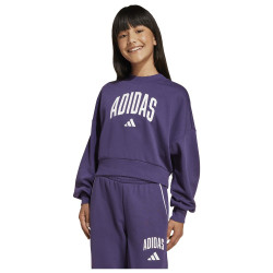 Adidas Παιδικό φούτερ Seasonals Essentials Collegiate Typography Sweatshirt